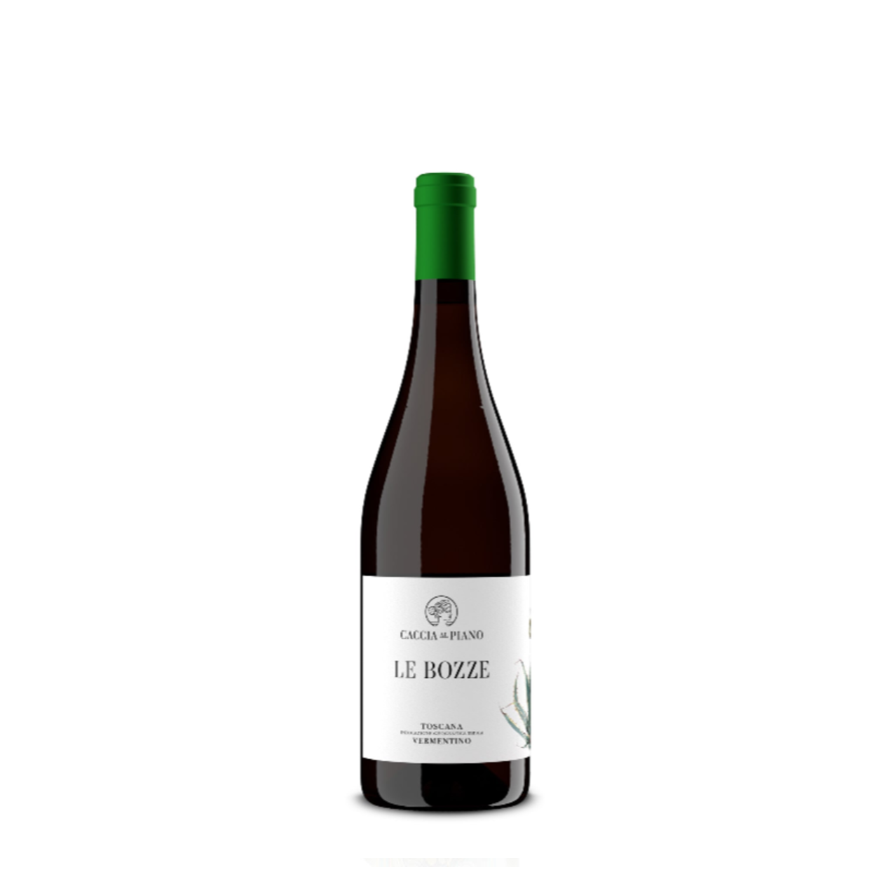 Le Bozze Vermentino Toscana IGT - 2022
