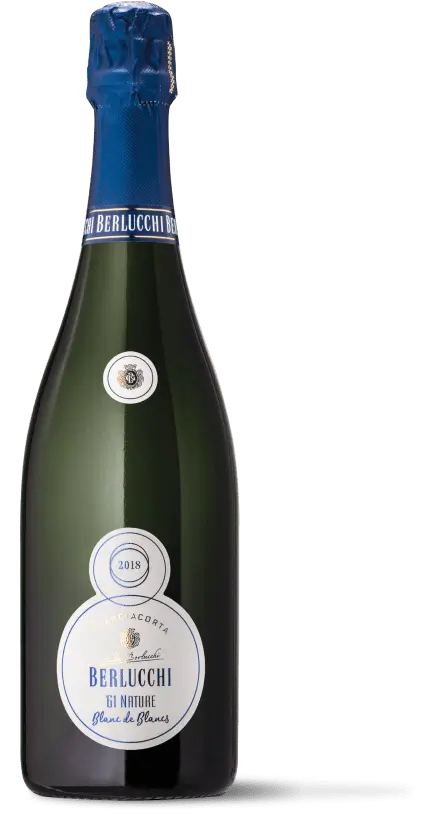 Berlucchi '61 Nature Blanc de Blancs 2016