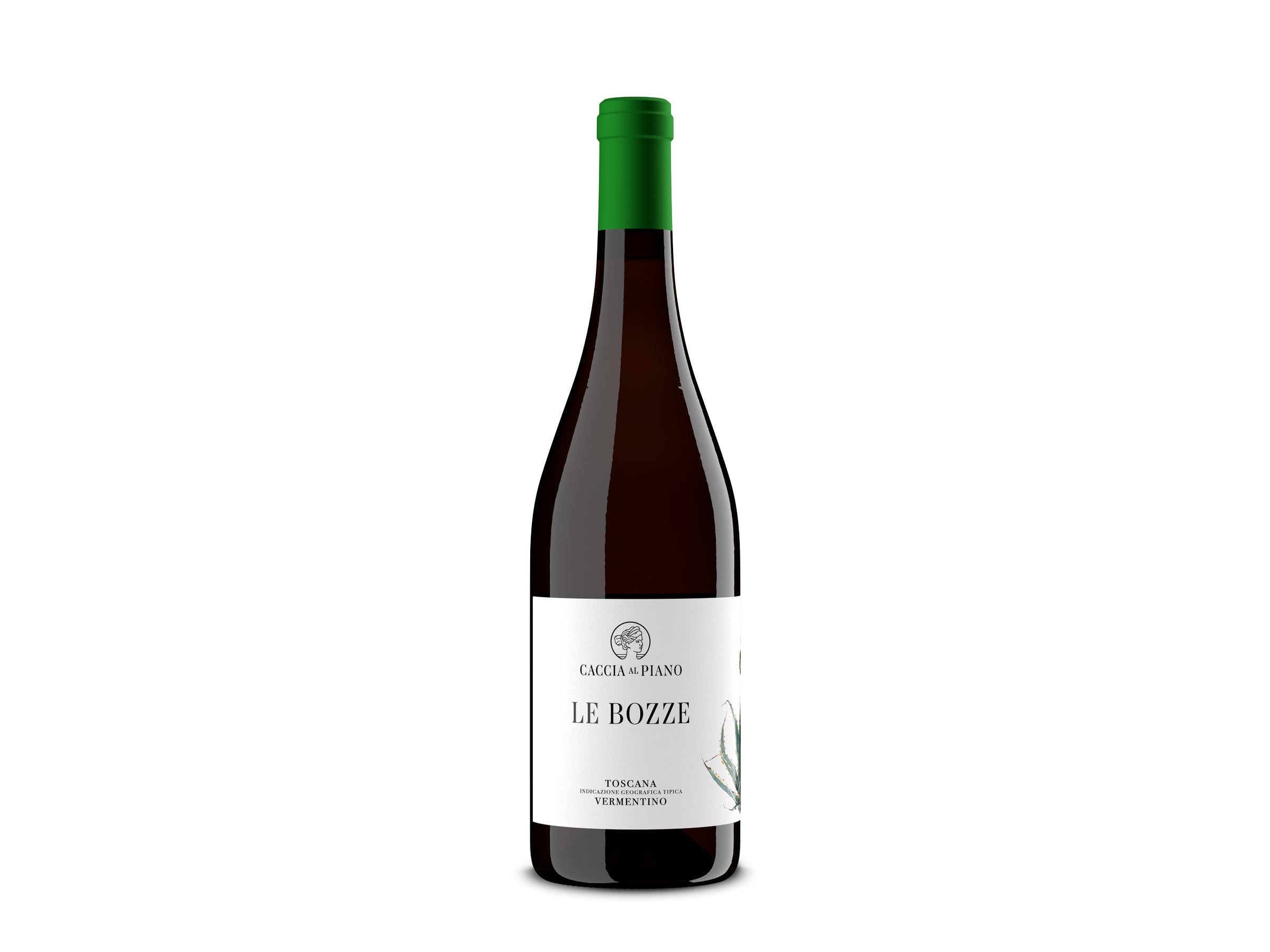 Le Bozze Vermentino Toscana IGT - 2022
