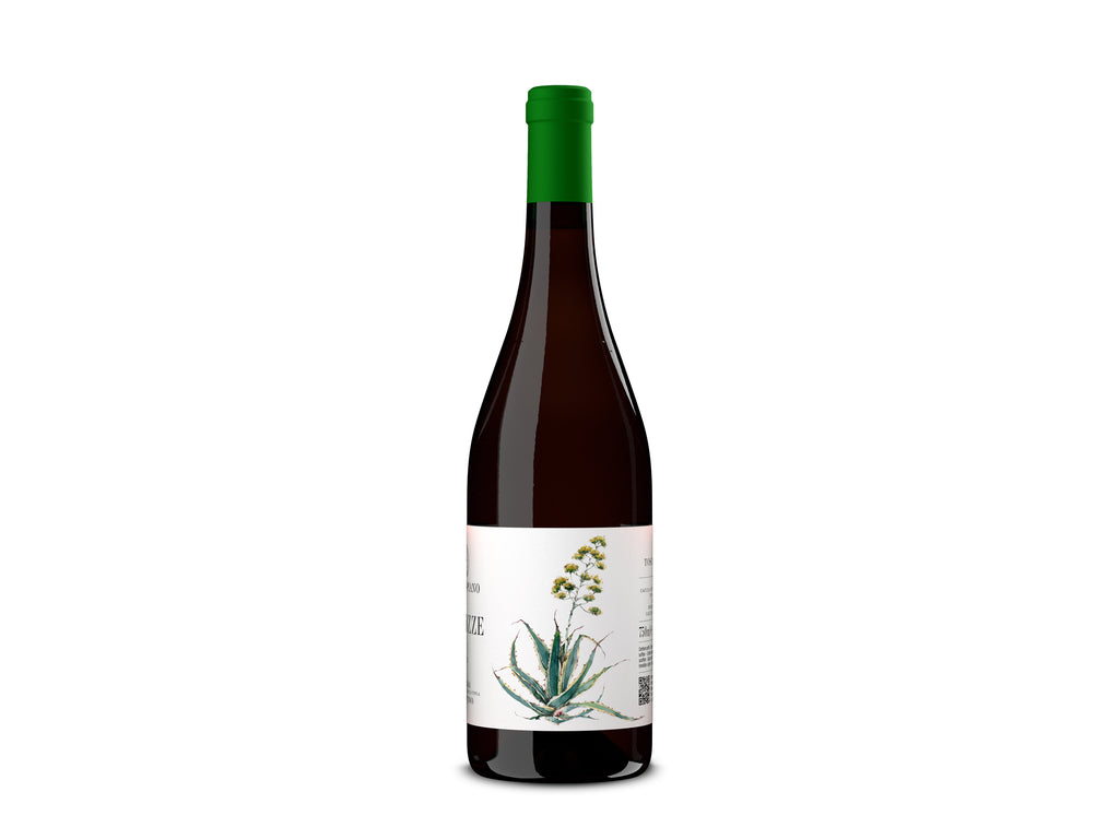 Le Bozze Vermentino Toscana IGT - 2022