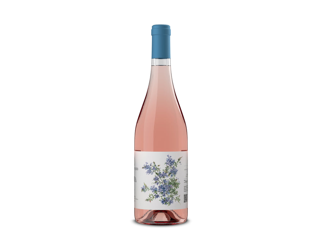 Levia Rosato Toscana IGT - 2024